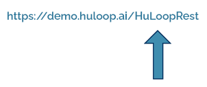 https://demo.huloop.ai/HuLoopRest